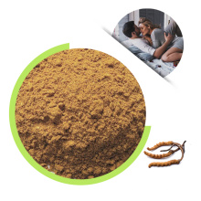 Pure Cordyceps Powder, 100% Fermented Cordyceps  sinensis powder
